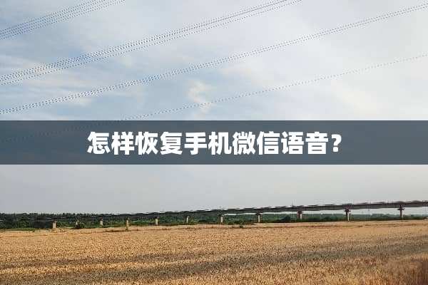 怎样恢复手机微信语音？