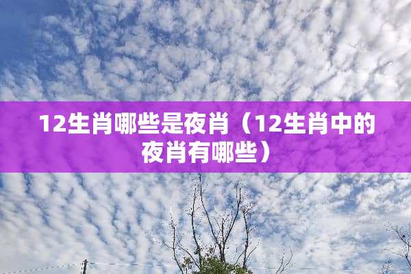 12生肖哪些是夜肖（12生肖中的夜肖有哪些）