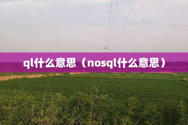 ql什么意思（nosql什么意思）