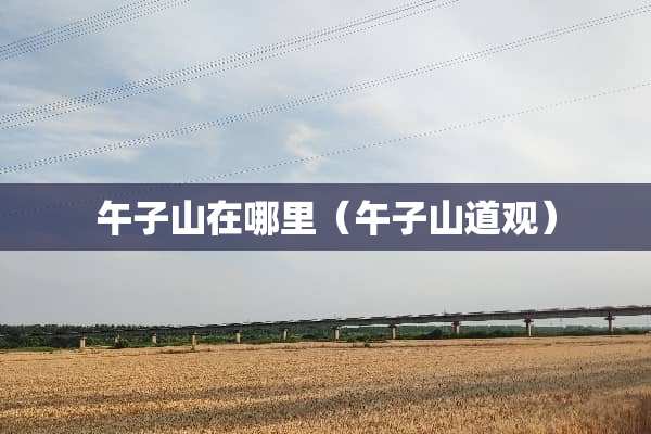 午子山在哪里（午子山道观）