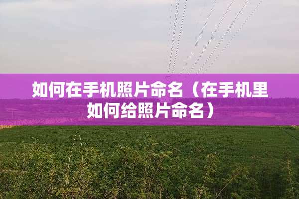 如何在手机照片命名（在手机里如何给照片命名）