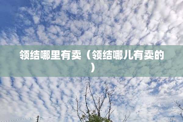 领结哪里有卖（领结哪儿有卖的）