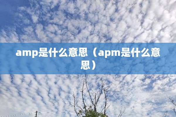 amp是什么意思（apm是什么意思）