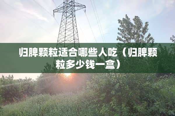 归脾颗粒适合哪些人吃（归脾颗粒多少钱一盒）