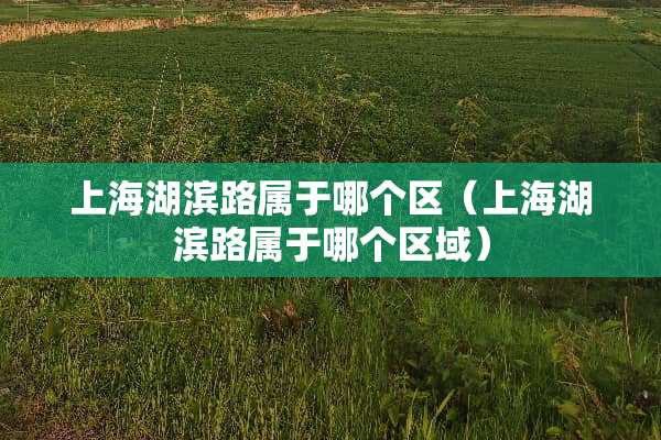 上海湖滨路属于哪个区（上海湖滨路属于哪个区域）