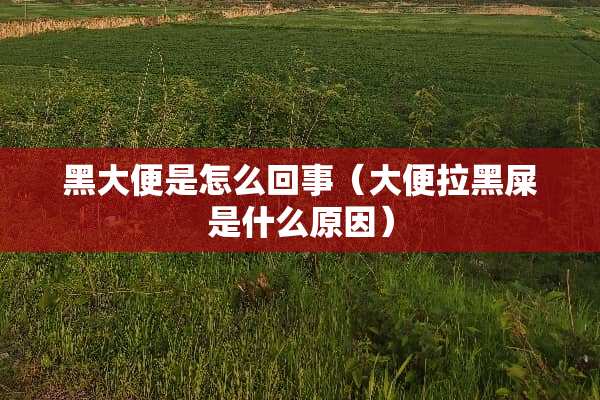 黑大便是怎么回事（大便拉黑屎是什么原因）
