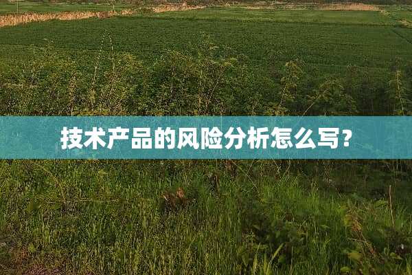 技术产品的风险分析怎么写？