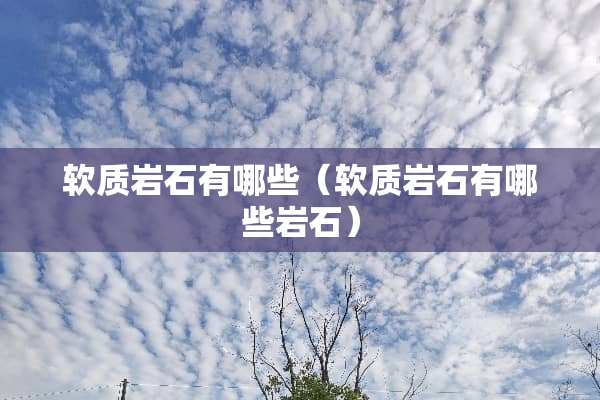 软质**有哪些（软质**有哪些**）