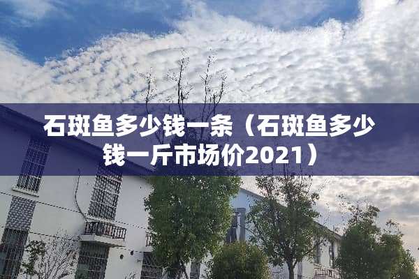 石斑鱼多少钱一条（石斑鱼多少钱一斤市场价2021）