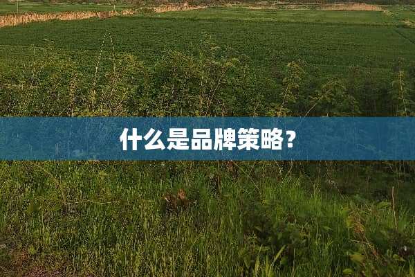 什么是品牌策略？