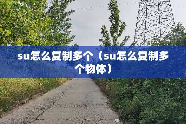 su怎么复制多个（su怎么复制多个物体）