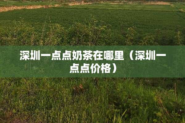 深圳一点点奶茶在哪里（深圳一点点价格）