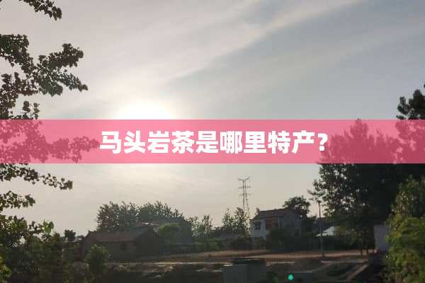马头岩茶是哪里特产？