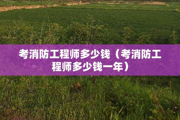 考消防工程师多少钱（考消防工程师多少钱一年）