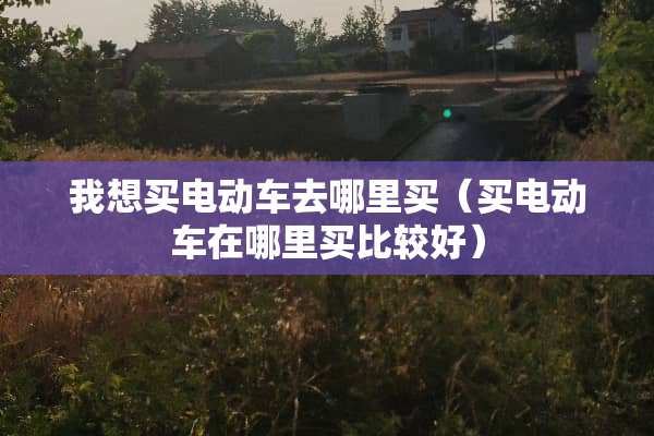 我想买电动车去哪里买（买电动车在哪里买比较好）