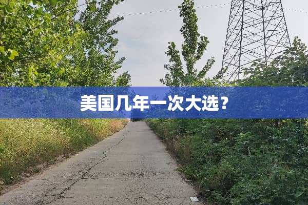 美国几年一次大选？