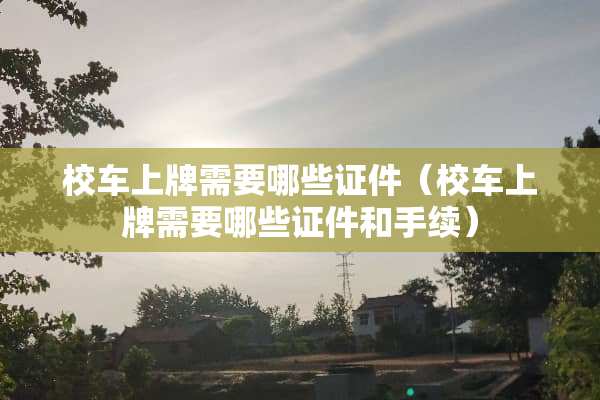 校车上牌需要哪些**（校车上牌需要哪些**和手续）
