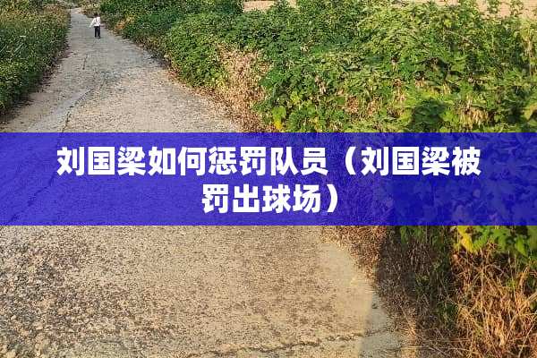 刘国梁如何惩罚队员（刘国梁被罚出球场）