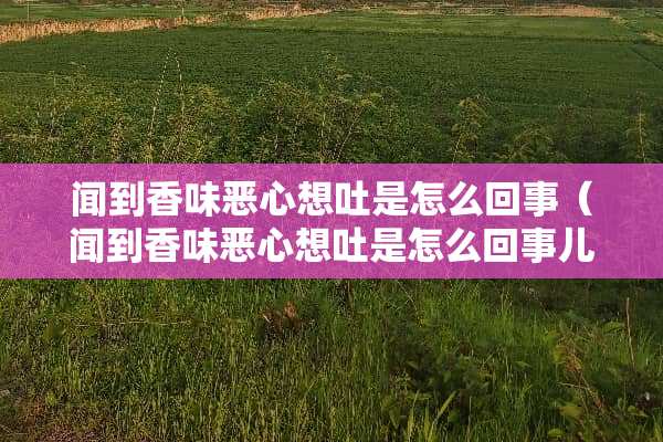 闻到香味恶心想吐是怎么回事（闻到香味恶心想吐是怎么回事儿）