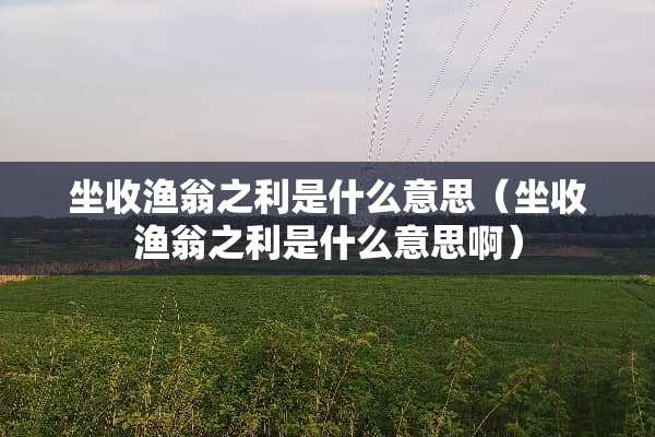 坐收渔翁之利是什么意思（坐收渔翁之利是什么意思啊）