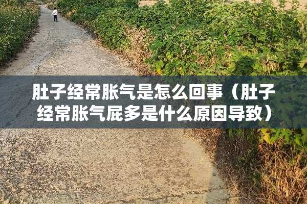 肚子经常胀气是怎么回事（肚子经常胀气屁多是什么原因导致）