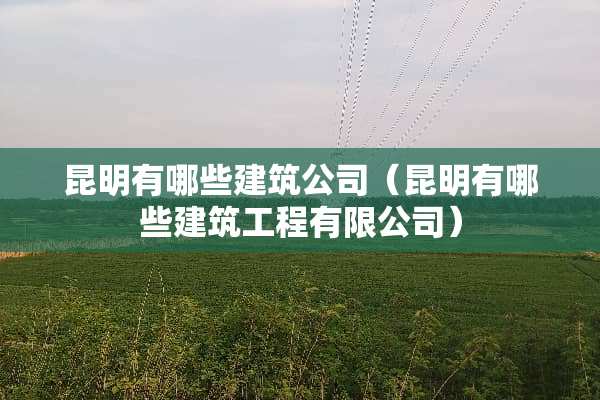 昆明有哪些建筑公司（昆明有哪些建筑工程有限公司）