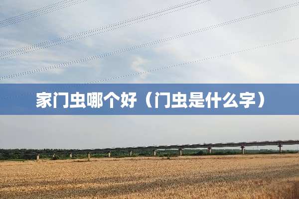 家门虫哪个好（门虫是什么字）