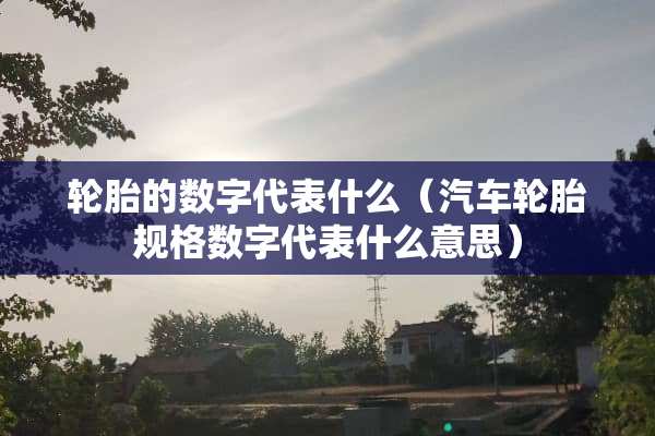 轮胎的数字代表什么（汽车轮胎规格数字代表什么意思）