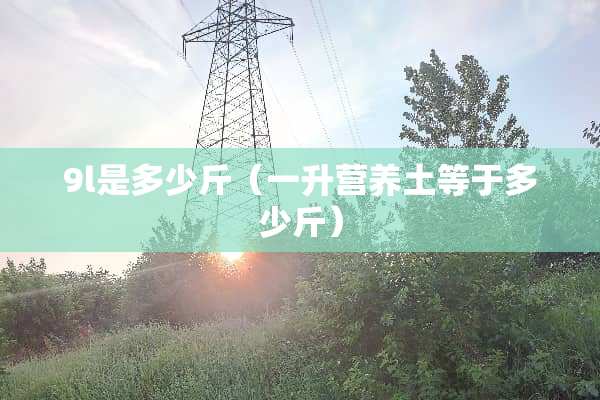 9l是多少斤（一升营养土等于多少斤）