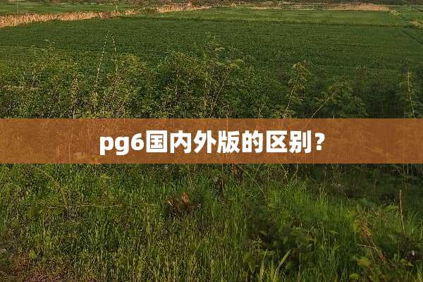 pg6国内外版的区别？
