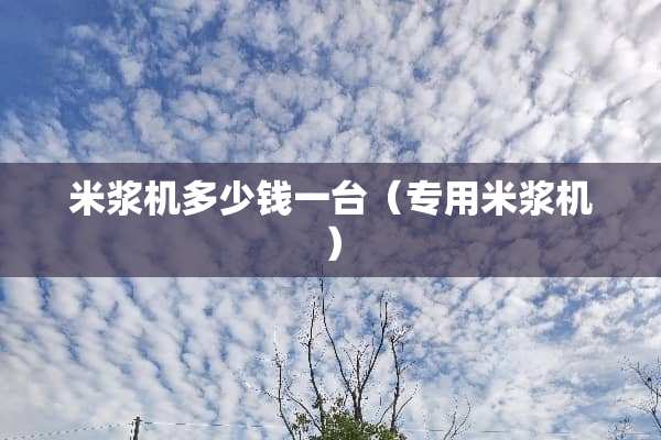 米浆机多少钱一台（专用米浆机）