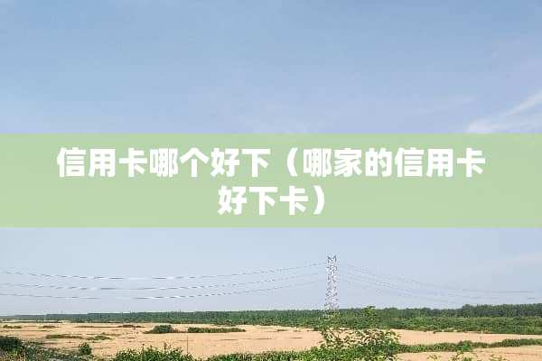 ***哪个好下（哪家的***好下卡）