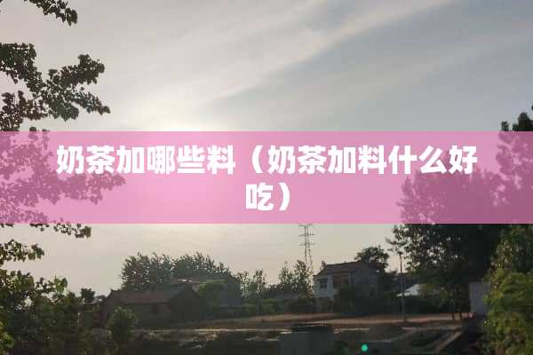 奶茶加哪些料（奶茶加料什么好吃）