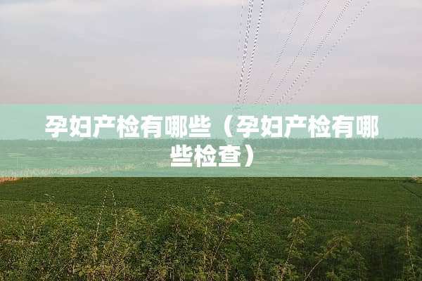 孕妇产检有哪些（孕妇产检有哪些检查）