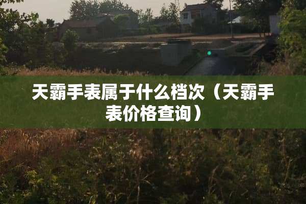 天霸手表属于什么档次（天霸手表价格查询）
