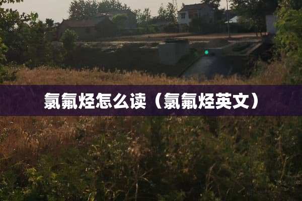 氯氟烃怎么读（氯氟烃英文）