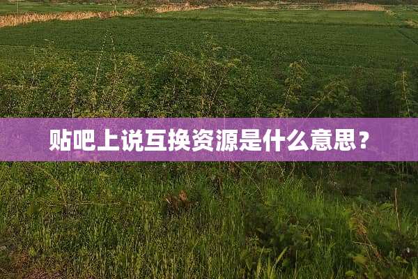 贴吧上说互换资源是什么意思？