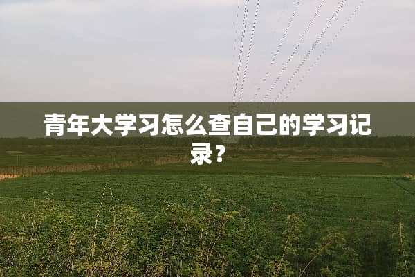青年大学习怎么查自己的学习记录？