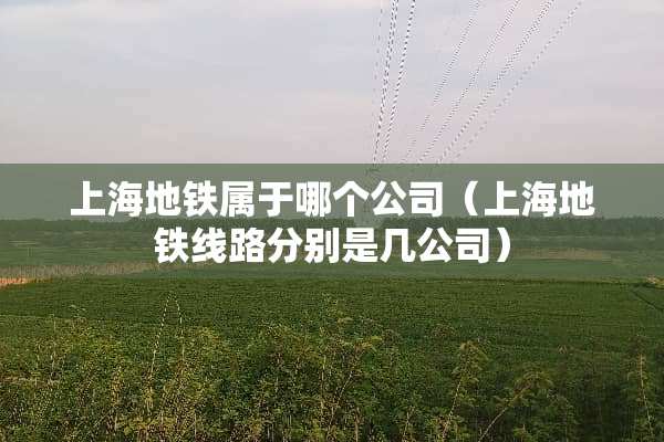 上海地铁属于哪个公司（上海地铁线路分别是几公司）