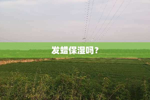 发蜡保湿吗？