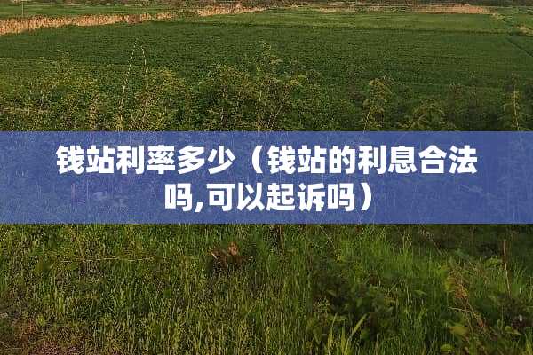钱站利率多少（钱站的利息合法吗,可以起诉吗）