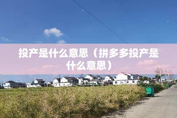 投产是什么意思（拼多多投产是什么意思）