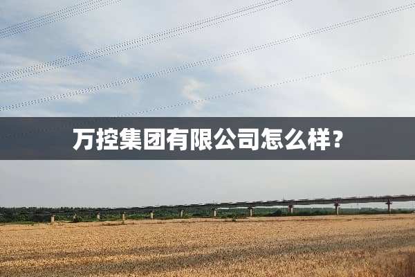 万控集团有限公司怎么样？