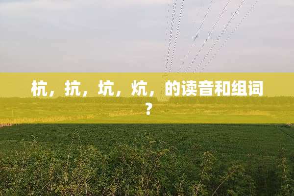 杭，抗，坑，炕，的读音和组词？