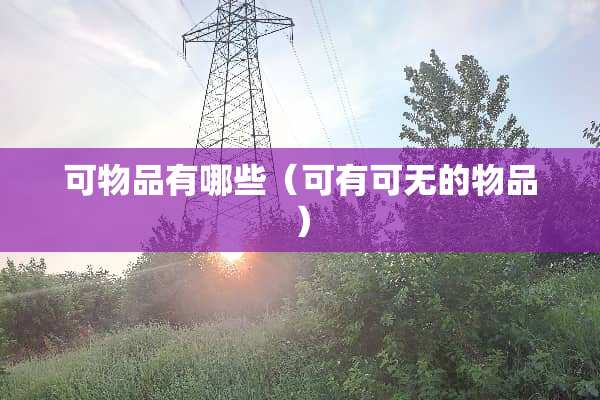 可物品有哪些（可有可无的物品）