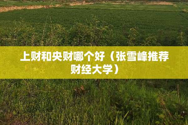 上财和央财哪个好（张雪峰推荐财经大学）