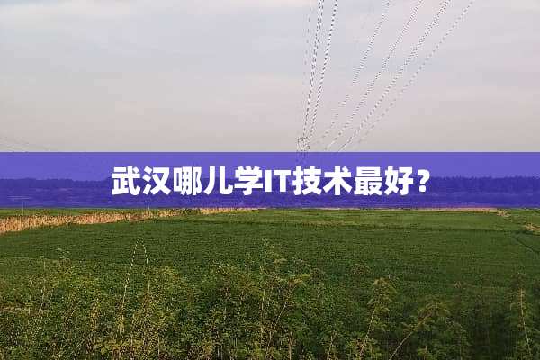 武汉哪儿学IT技术最好？