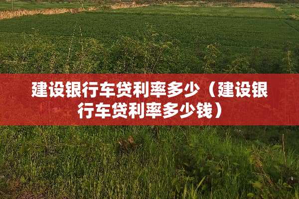 建设银行车贷利率多少（建设银行车贷利率多少钱）
