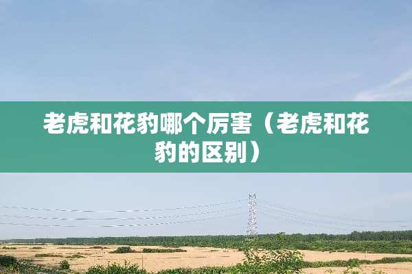 老虎和花豹哪个厉害（老虎和花豹的区别）