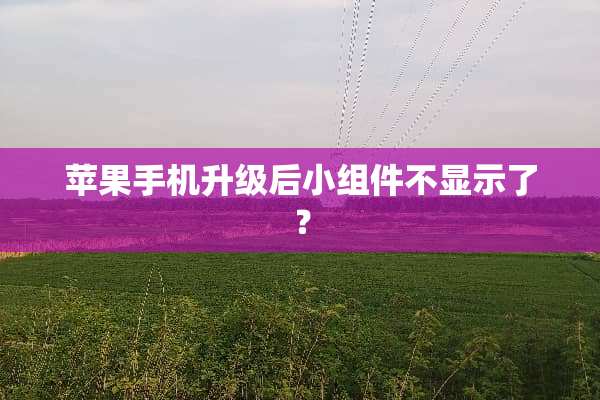 苹果手机升级后小组件不显示了？